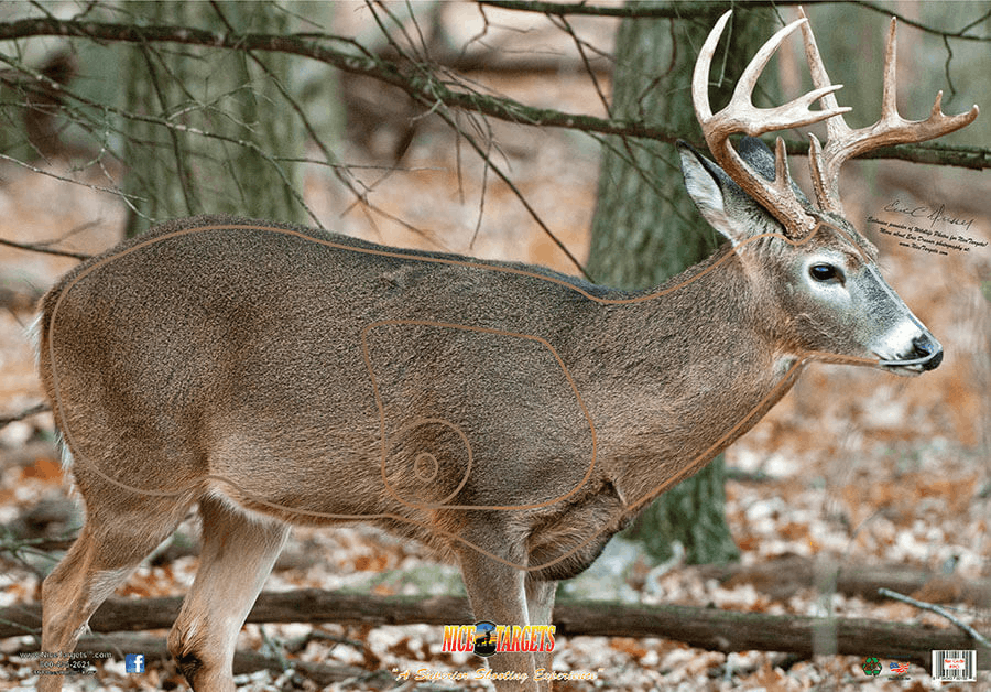 200ct Roll Broadside Right Deer