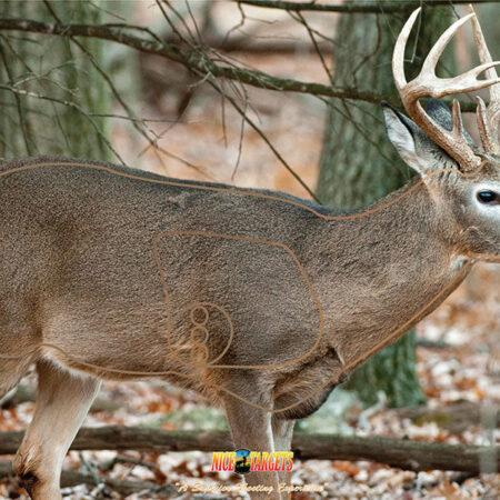 Broadside Deer Target