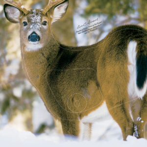 Quartering Away Left Buck Target