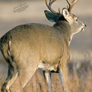 Quartering Away Right Buck Target