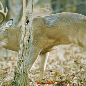 Buck Target